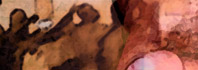Copbanner