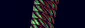 PerbannerB1a2