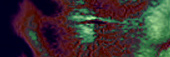 PerbannerB1a6