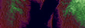 PerbannerB1a10.jpg