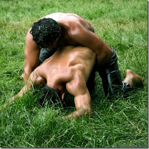 male_oil_wrestlers_thumb[1]