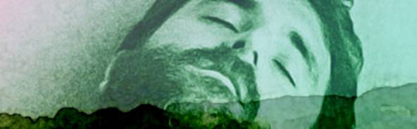 Banner1.jpg