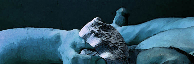 Banner.jpg