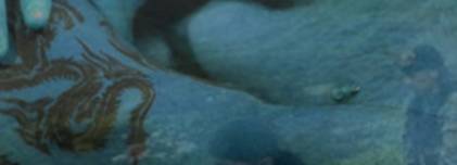 Banner2.jpg