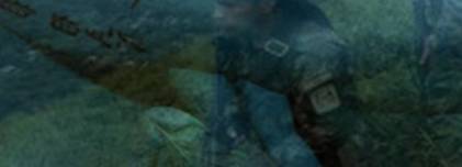 Banner3.jpg