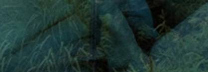 Banner4.jpg