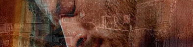 Banner3.jpg
