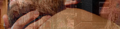 Banner5.jpg