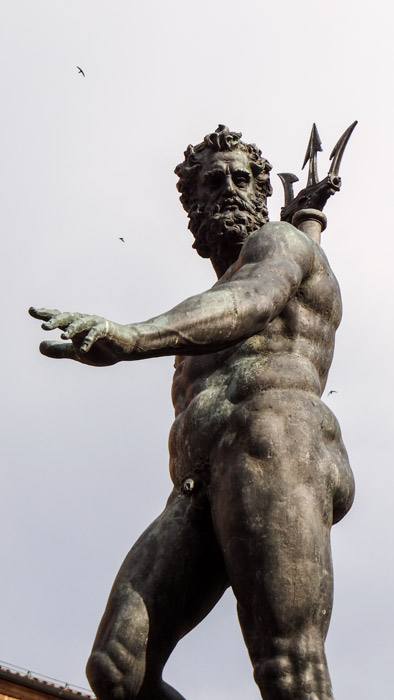 particolare_1_della_fontana_del_nettuno